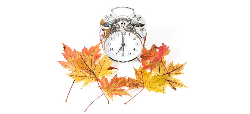 A clock with autumn leaves